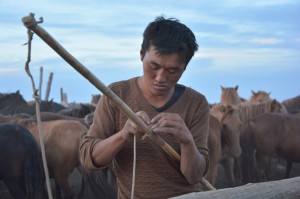 Der Junge knotet sein Lasso, um die Pferde einzufangen