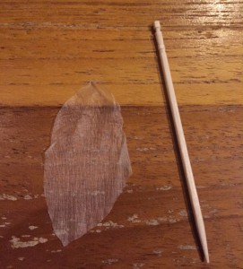 Fast so groß wie ein Streichholz: meine Hautfetzen