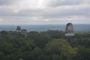 Die Maya-Ruinen von Tikal vom Dschungel verschlungen