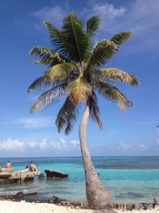 So paradiesisch sieht es auf der Insel der Entschleunigung aus