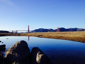 Da! Wunderschön, wie sich die Golden Gate Bridge in einer Pfütze spiegelt