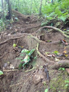 Unser Wanderweg