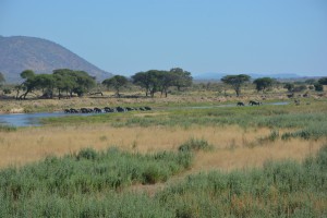 Allein die Natur ist unbeschreiblich 