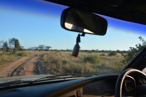 Mit dem eigenen Auto auf Safari