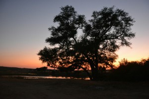 Sonnenuntergang im Nationalpark 